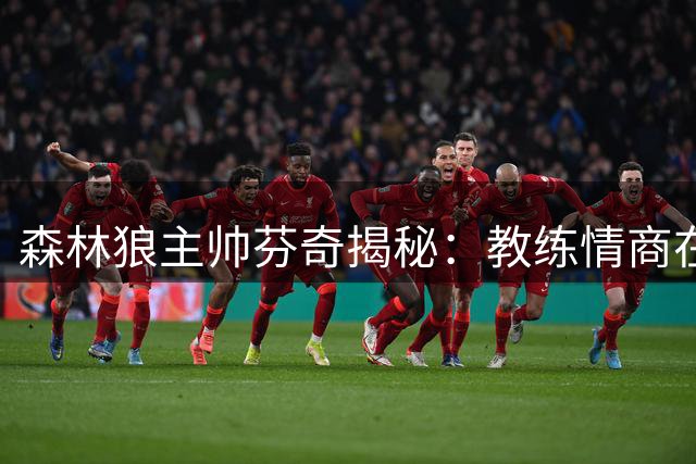 森林狼主帅芬奇揭秘：教练情商在NBA执教中的关键作用